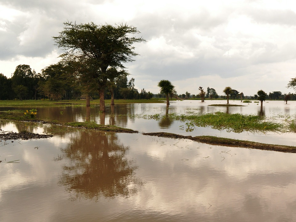雨:普鲁威 - 降雨雷暴早期预警系统